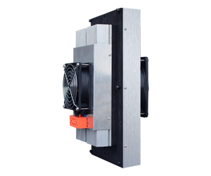 Peltier Air Cooler for Cabinet 80W